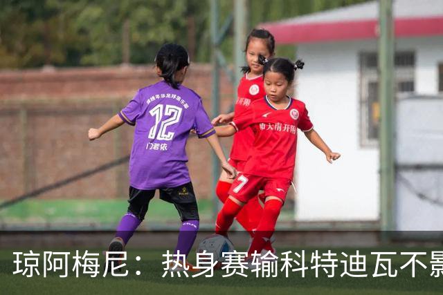 琼阿梅尼：热身赛输科特迪瓦不影响法国，可以说是一次小小的提醒